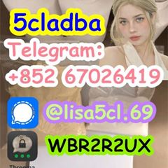 5cladba best cannabinoid 5cladba precursor raw 5cl-adb-a material in stock1399816-54-6